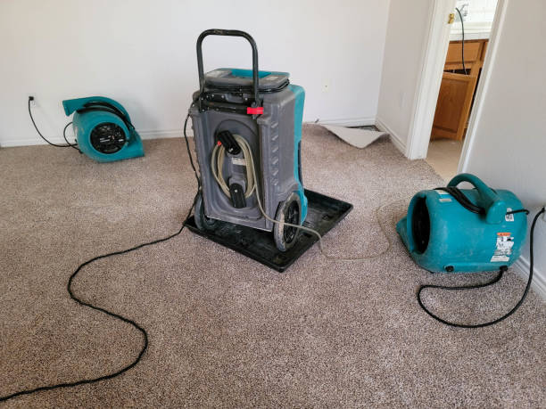 Best Fire Damage Restoration  in Sutton, NE