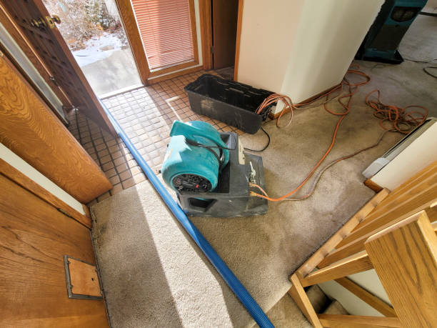 Best Water damage restoration near me  in Sutton, NE