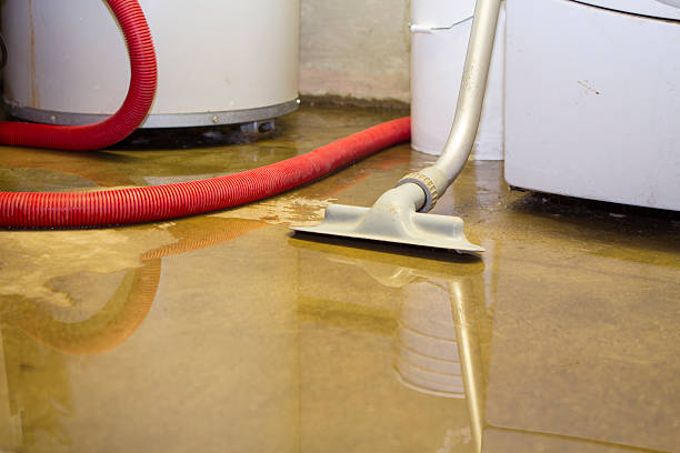 Best Basement water damage restoration  in Sutton, NE