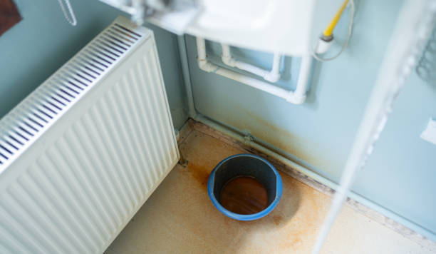 Best Flood damage cleanup  in Sutton, NE