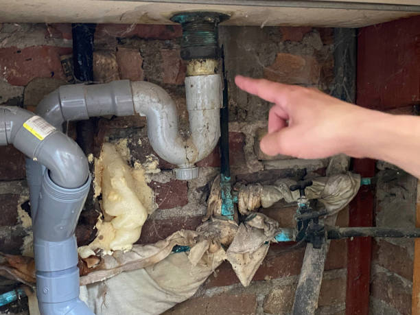 Best Water damage contractors near me  in Sutton, NE